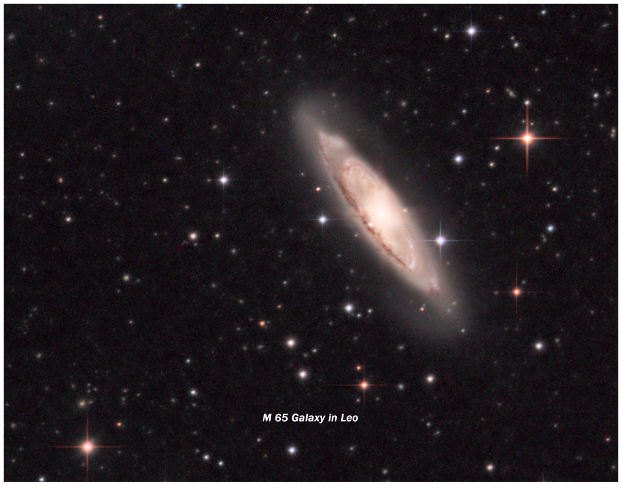 M 65 crop Leo 3