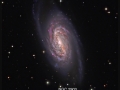 NGC 2903 Spiral Galaxy