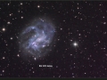 final crop NGC 4395