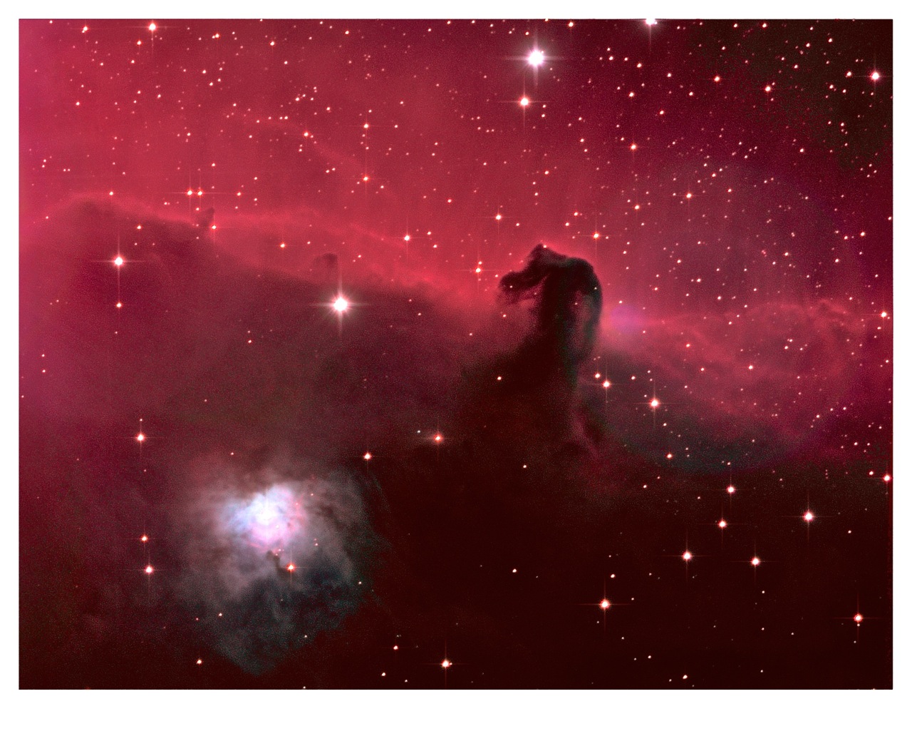 HorseHead crop final