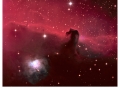 HorseHead crop final