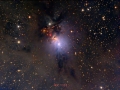 NGC 1333