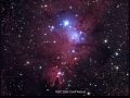 NGC 2264 Cone iphoto