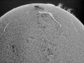 Sun_closeup_6-20-22 BW